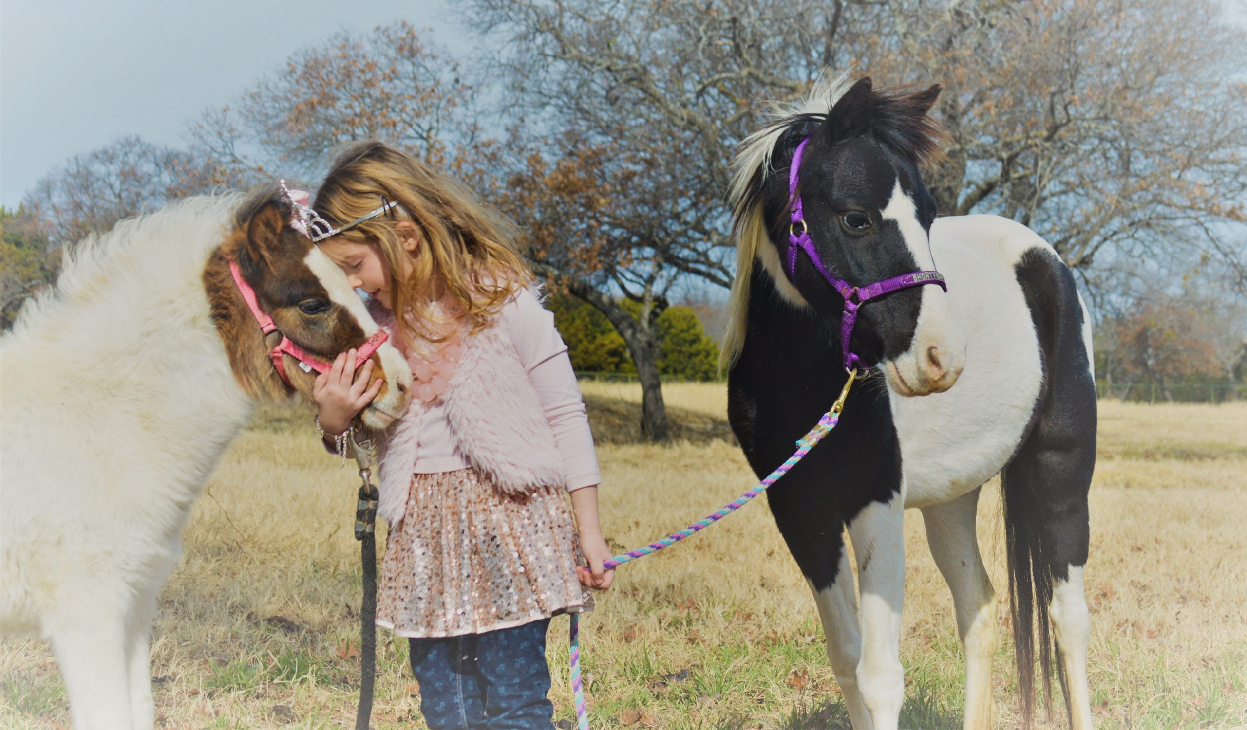 A young Deary rider with her ponies