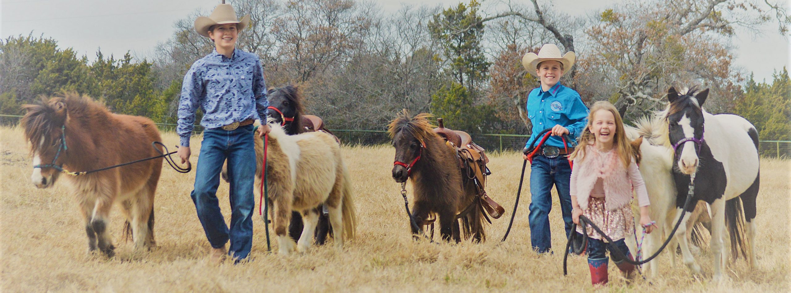 The Deary children walking their ponies across the pasture