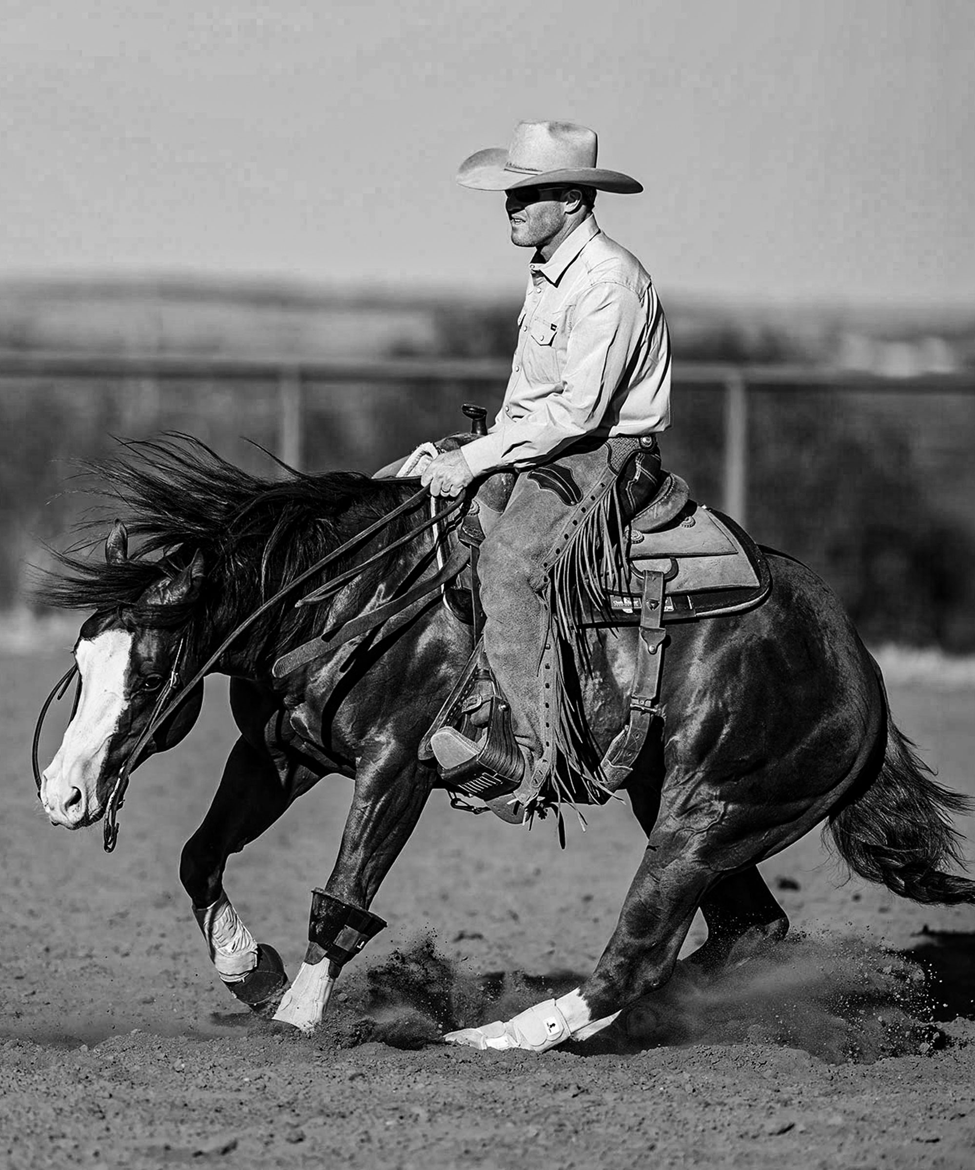 Mastering Horse Steering and Control with Belissimo