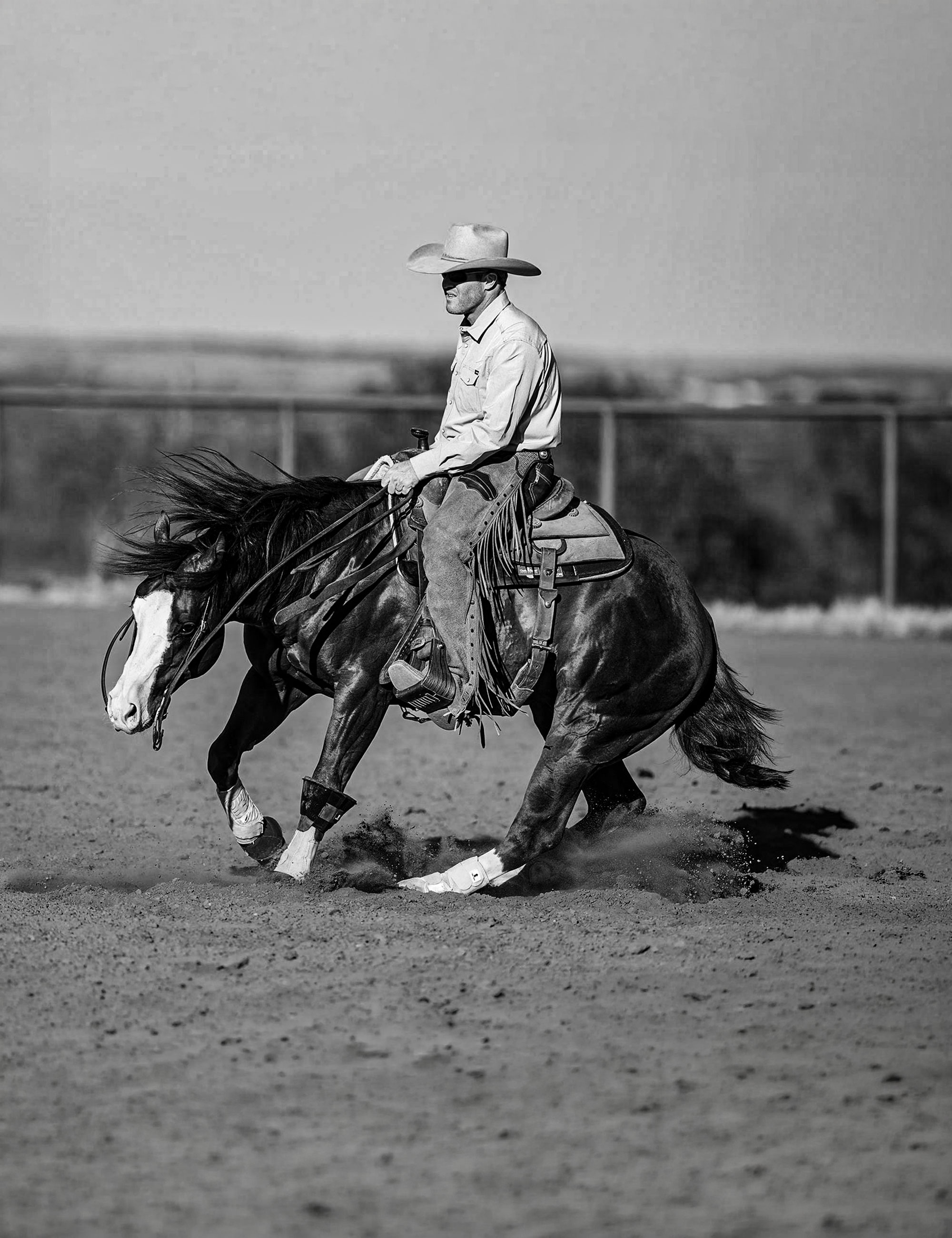 Mastering Horse Steering and Control with Belissimo